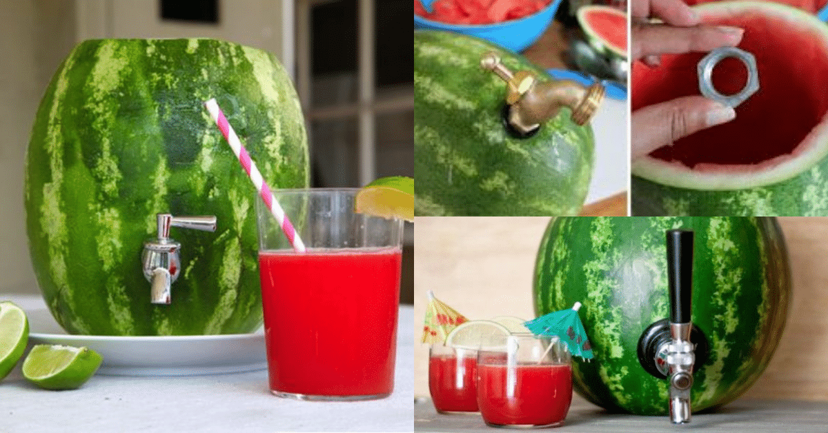 como fazer suqueira de melancia